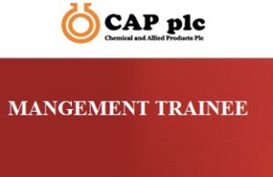 CAP Management Trainee Program 2025