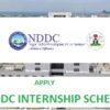 NDDC Youth internship scheme [year] Application Form